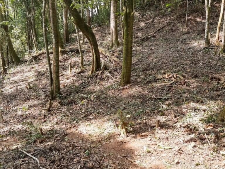 WhatsApp Image 2025-11-15 at 09.22.46 (2)