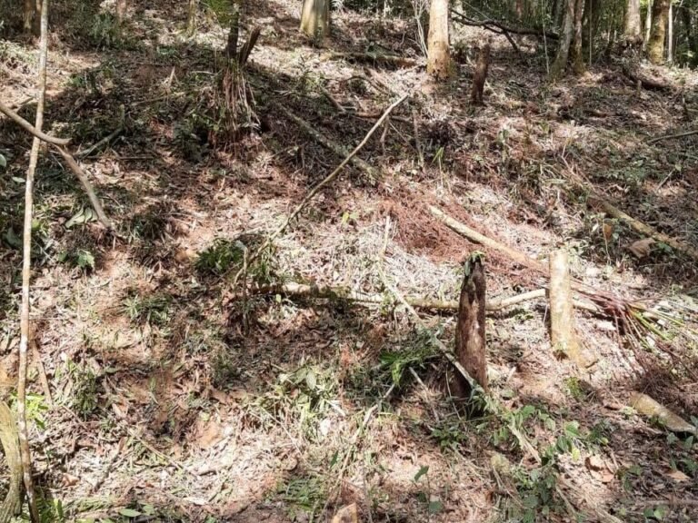 WhatsApp Image 2025-11-15 at 09.22.46