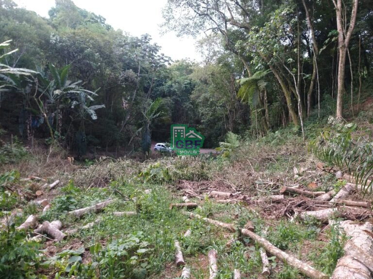 WhatsApp Image 2025-11-15 at 09.22.47 (1)