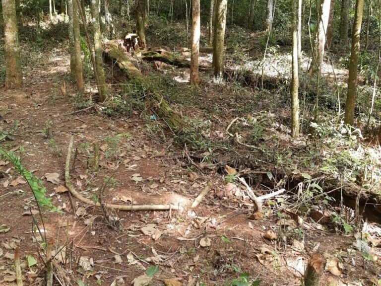 WhatsApp Image 2025-11-15 at 09.22.47