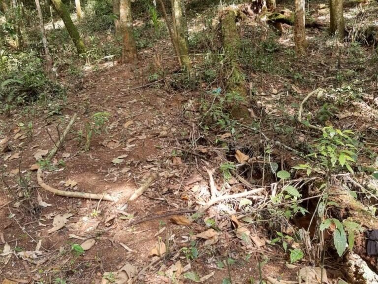 WhatsApp Image 2025-11-15 at 09.22.48 (1)