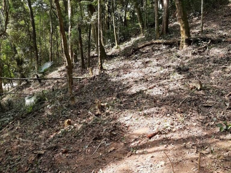 WhatsApp Image 2025-11-15 at 09.22.48 (2)