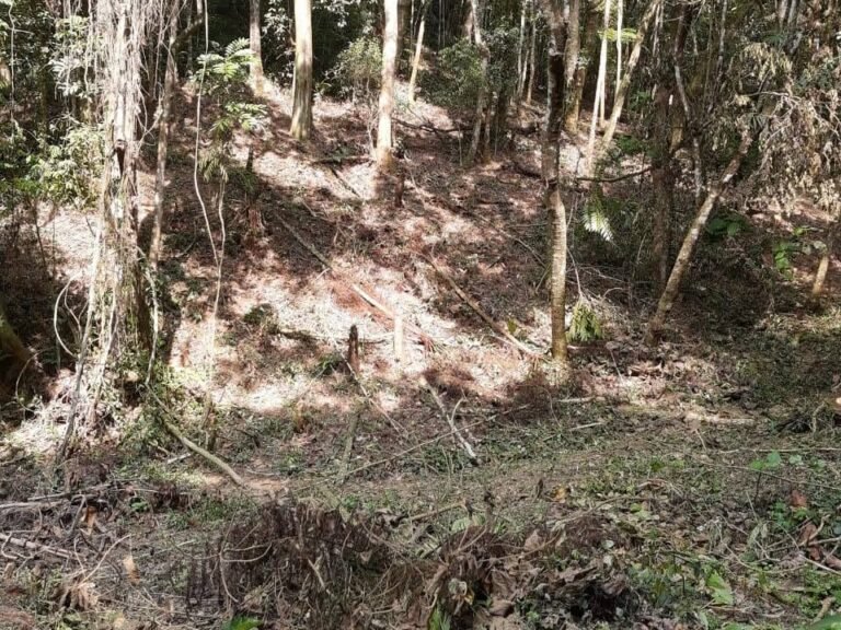 WhatsApp Image 2025-11-15 at 09.22.48