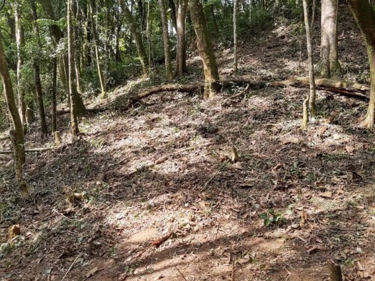 WhatsApp Image 2025-11-15 at 09.22.49 (1)