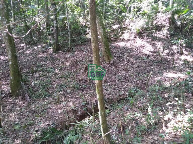 WhatsApp Image 2025-11-15 at 09.22.49