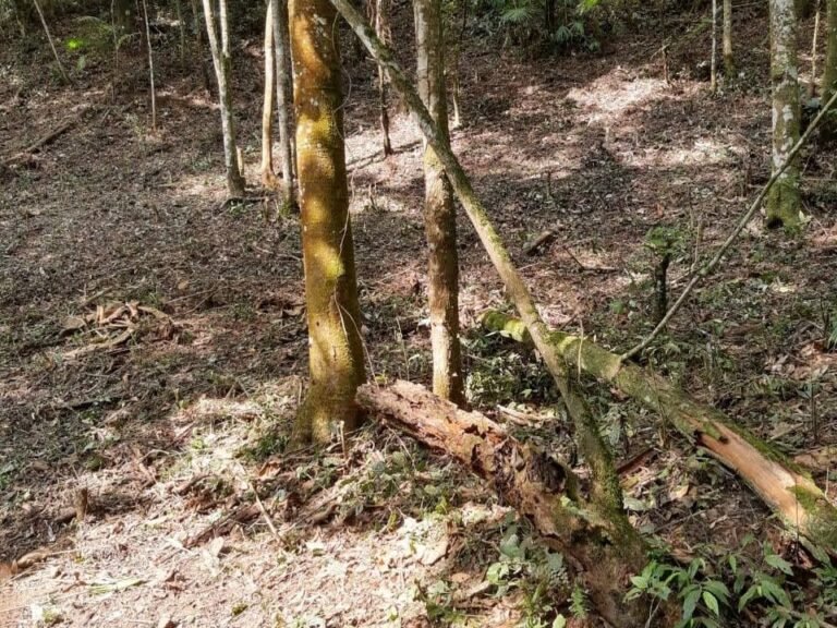 WhatsApp Image 2025-11-15 at 09.22.50 (1)