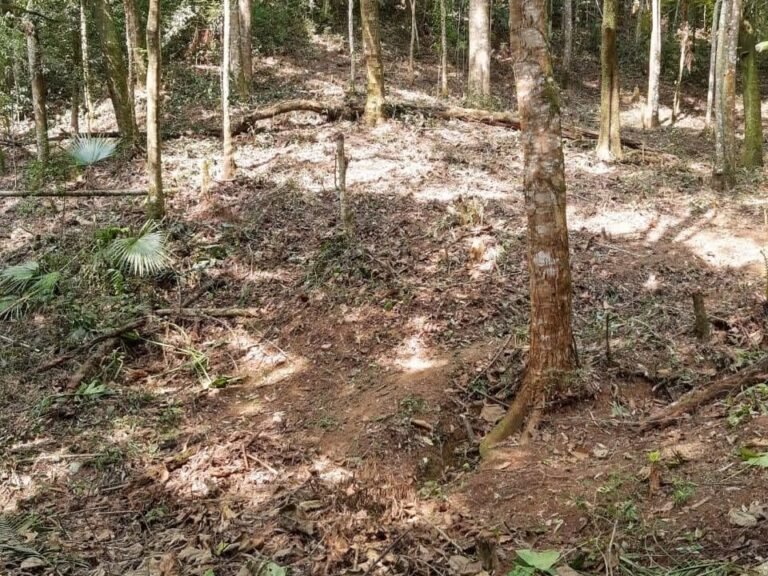 WhatsApp Image 2025-11-15 at 09.22.50 (2)