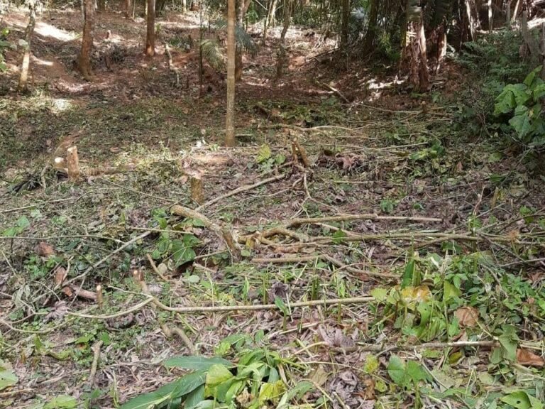 WhatsApp Image 2025-11-15 at 09.22.50