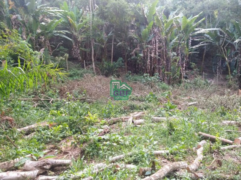 WhatsApp Image 2025-11-15 at 09.22.51 (1)