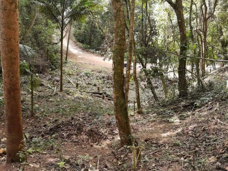 WhatsApp Image 2025-11-15 at 09.22.51