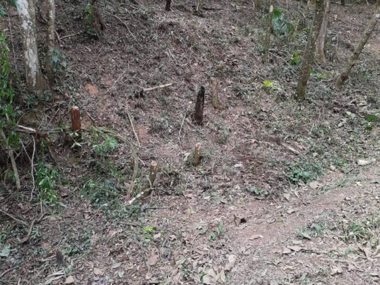 WhatsApp Image 2025-11-15 at 09.22.52